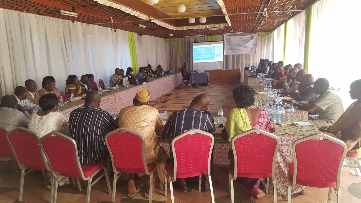 Réalisation d’une Etude d’impact environnementale et social(Octobre 2019 )